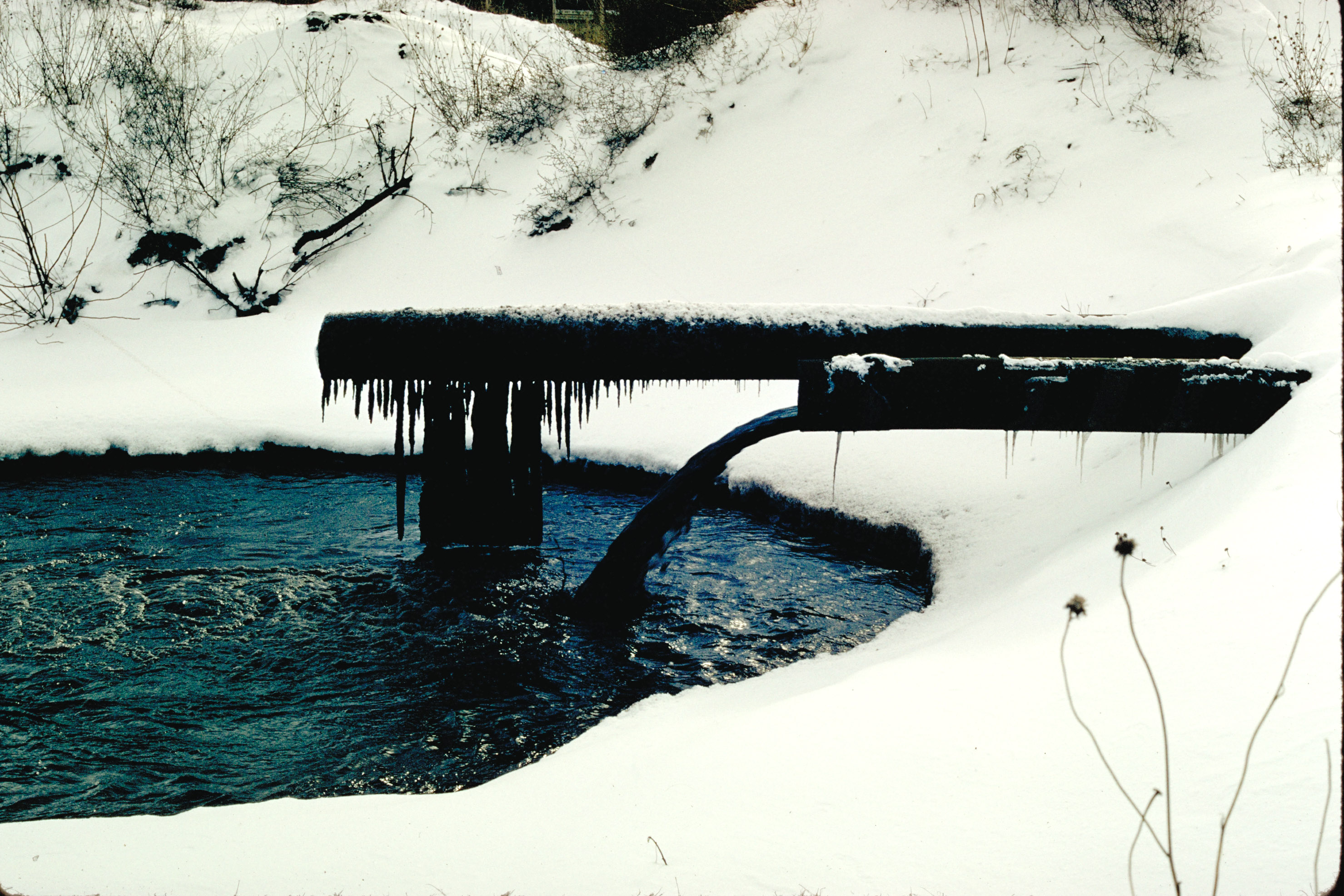 American environmental policy: “The ‘good-enoughism’ that characterizes the last 50 years should be replaced with policies that truly work” – An interview with Daniel Press