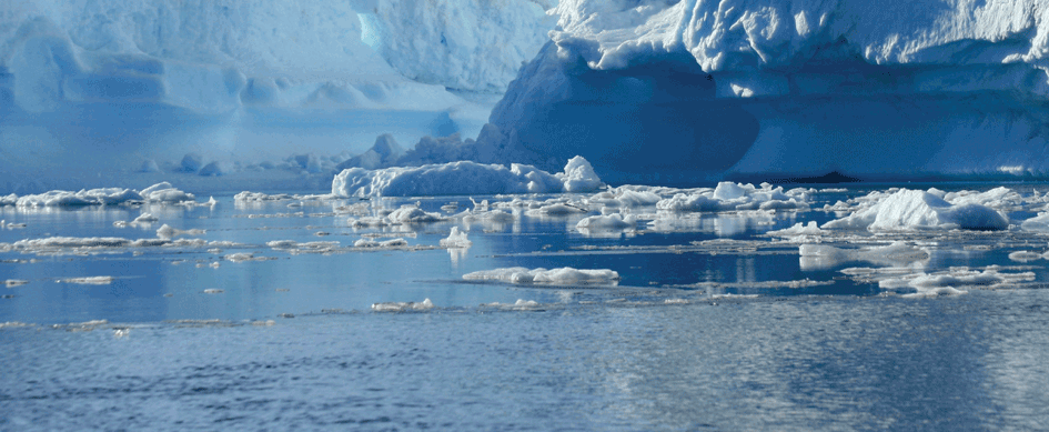 The Politics of Antarctica
