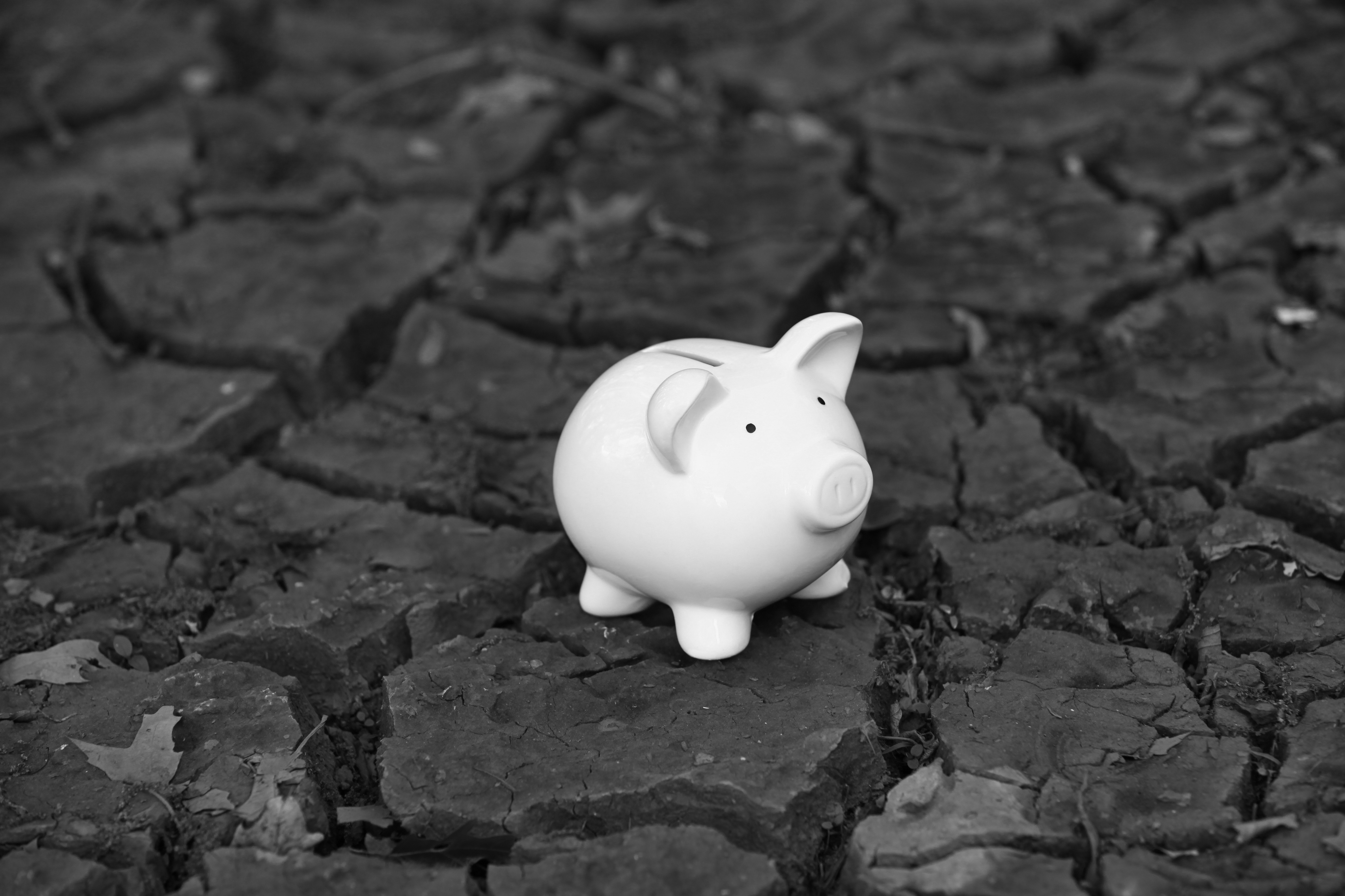 Can We Stop the Advance of Climate Change While Growing the Global Economy?