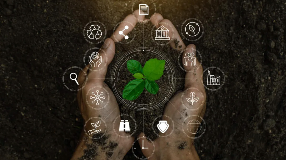 The Economics of Frugal Innovation                Technological Change for Inclusion and Sustainability