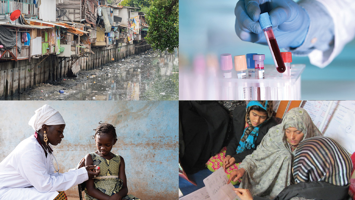 The Elgar Companion to Health and the Sustainable Development Goals book cover