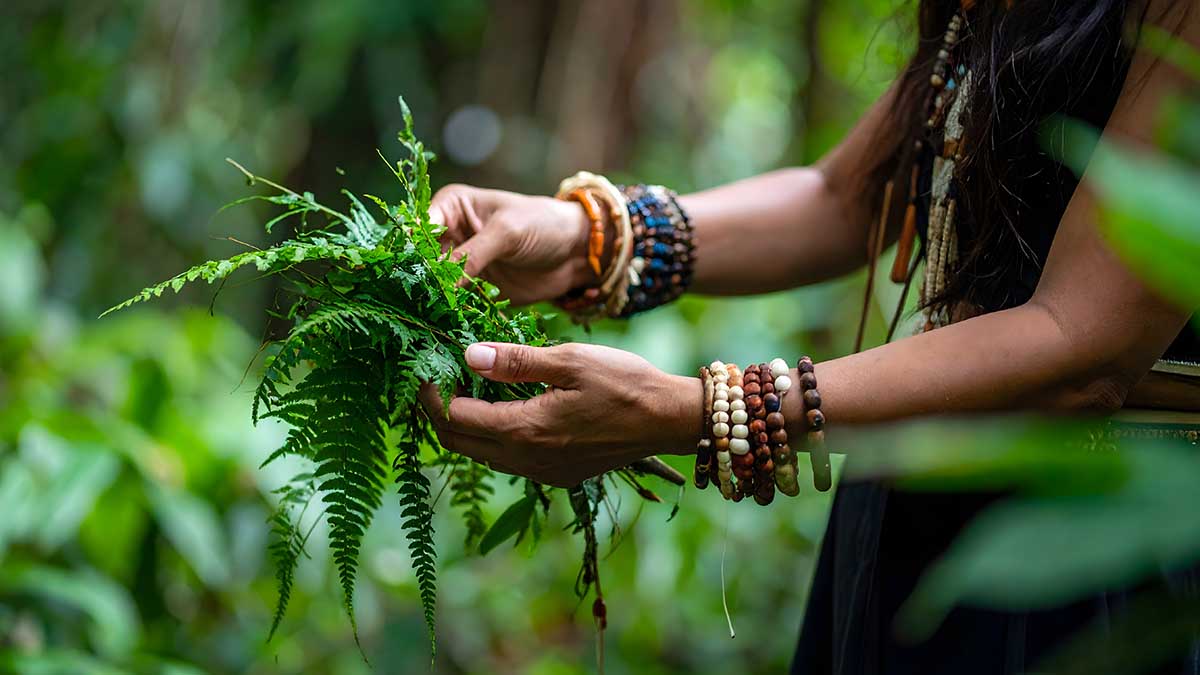 WIPO’s new Treaty on genetic resources and associated traditional knowledge – an historic breakthrough towards combatting biopiracy